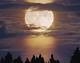 Full Moon ‘disturbs a good night’s sleep’ – BBC News